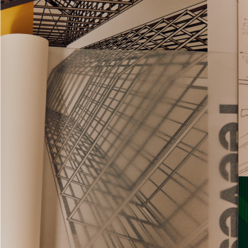 Frame 12 (1)